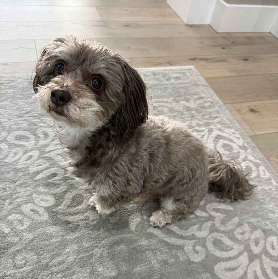 Clean modern windows